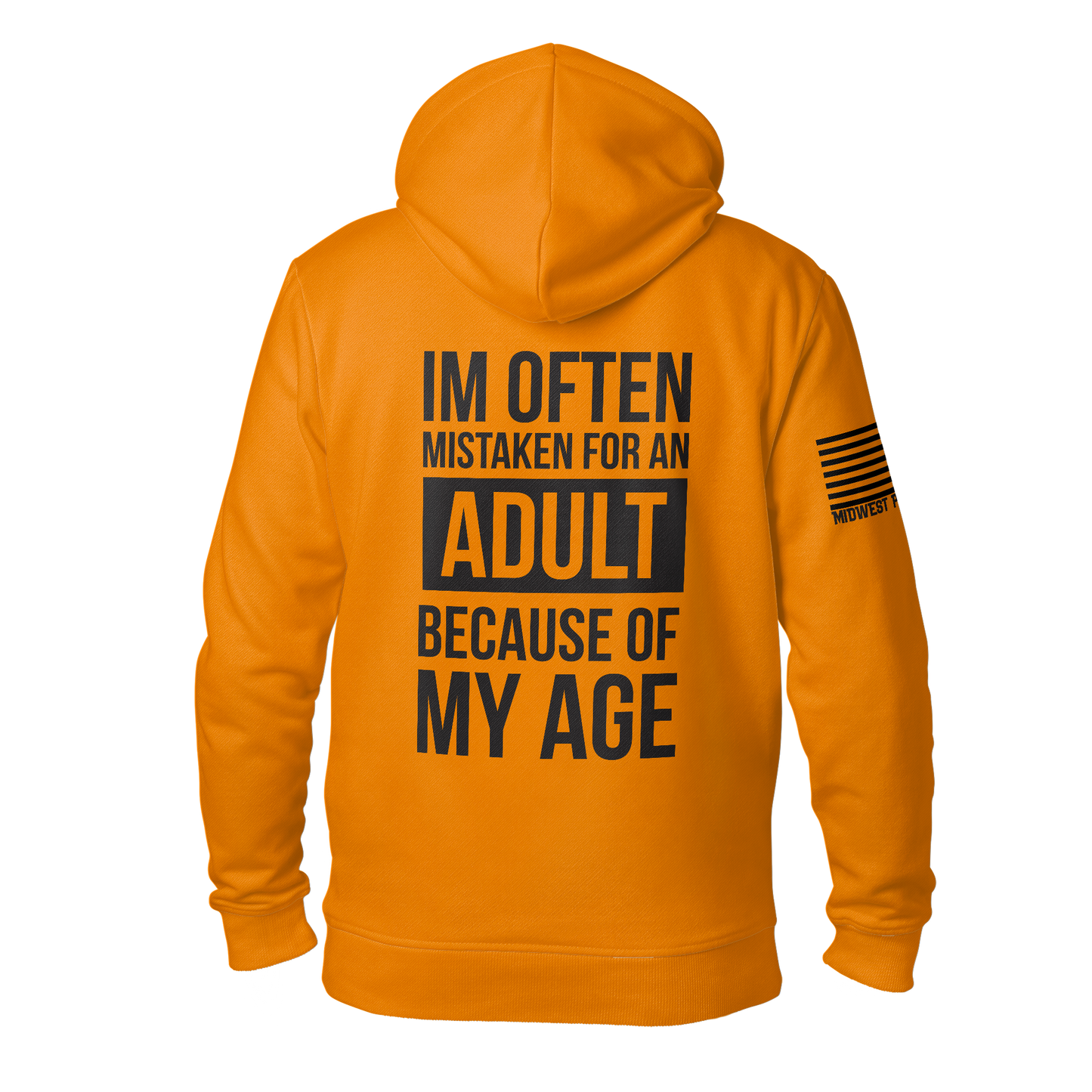 Mistaken As An Adult Hoodie